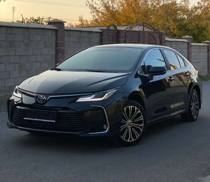 corolla (1)
